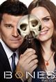 Bones Season 1-12 DVD Set