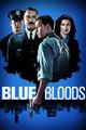 Blue Bloods season 1-8 DVD Set