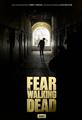 Fear The Walking Dead season 1-4 DVD Set