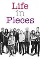 Life in Pieces season 1 DVD Set