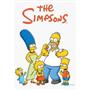 The Simpsons Seasons 27 DVD Set