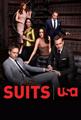 Suits season 7 DVD Set