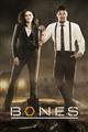 Bones Season 13 DVD Set