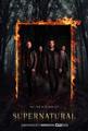 Supernatural Season 13 DVD Set