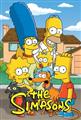 The Simpsons Season 29 DVD Set