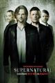Supernatural Seasons 14 DVD Boxset