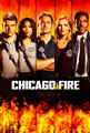 Chicago Fire Seasons 1-7 DVD Boxset