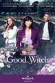 Good Witch Seasons 1-5 DVDset